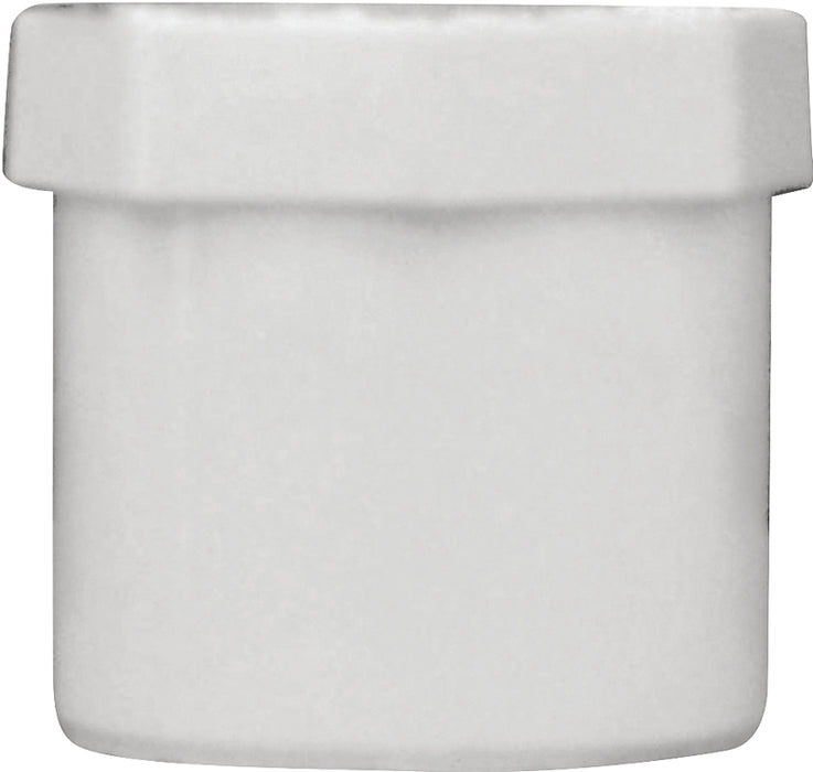 IPEX 435632 Pipe Plug, 3/4 in, Male Spigot, PVC, White, SCH 40 Schedule