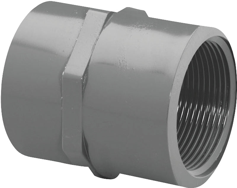 Lasco 835005BC Pipe Adapter, 1/2 in, Slip x FIP, PVC, SCH 80 Schedule