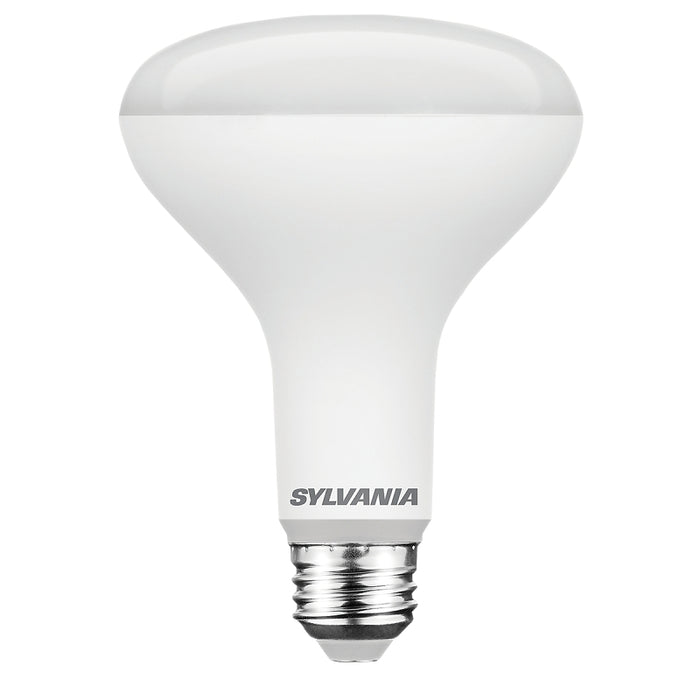 BULB LED BR30 DAYLIGHT 65W