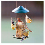 Mini SunFLWR Feeder