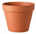 12" STD Clay Pot